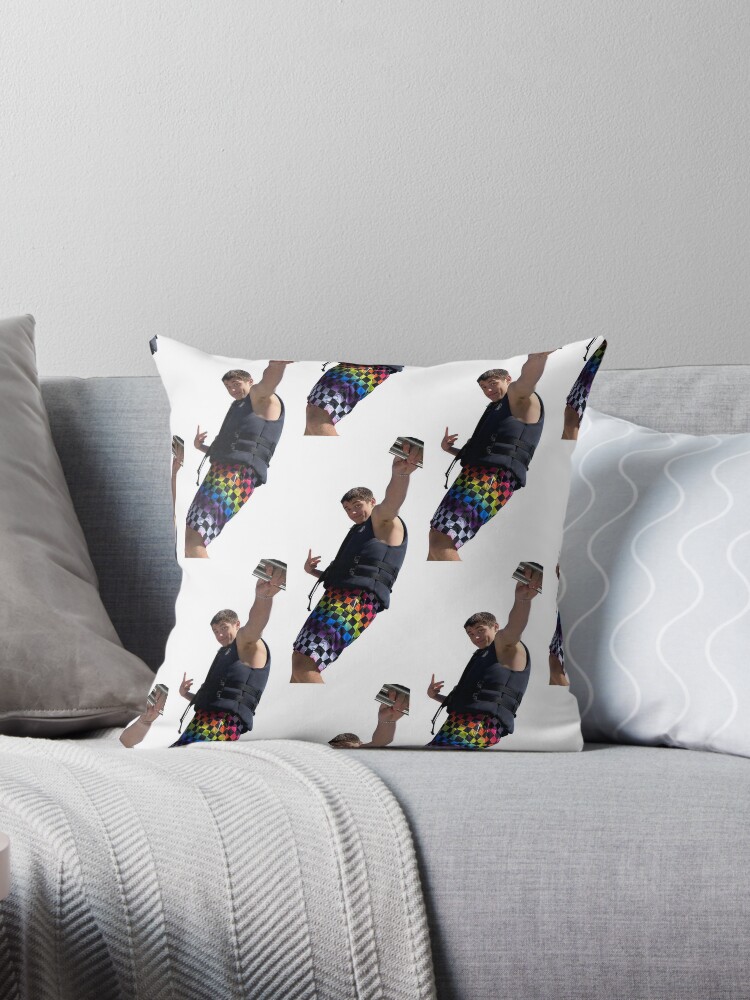 https://ih1.redbubble.net/image.4980051118.4452/throwpillow,small,750x1000-bg,f8f8f8.jpg