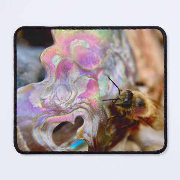 Item preview, Cute honeybee perched on an abalone shell shard designed and sold by Katrina Valuyeva.