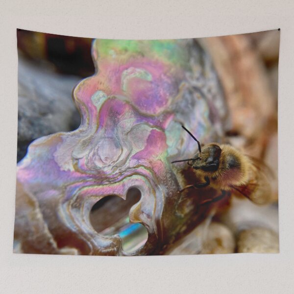 Item preview, Cute honeybee perched on an abalone shell shard designed and sold by Katrina Valuyeva.