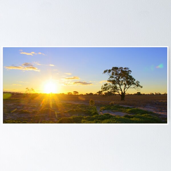 Item preview, Country sunset designed and sold by alokojha.