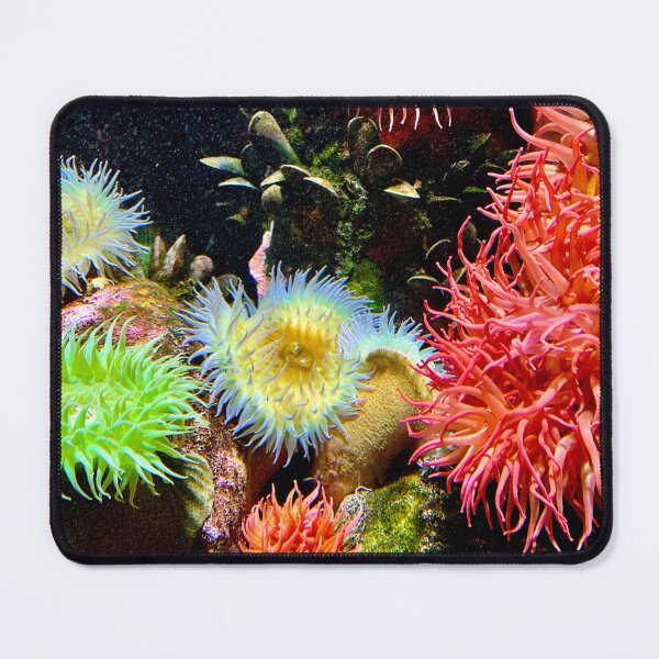 Item preview, Aquatic Phalanges  designed and sold by ButtahBlends.