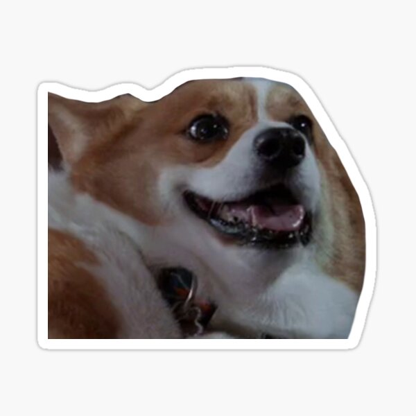 Cheddar Sticker
