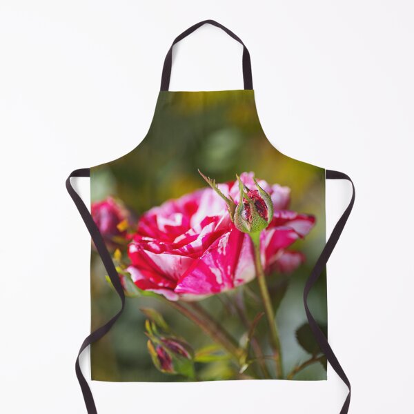 Item preview, Pink Variegated Rose Family designed and sold by Joy Watson - Natural Light Photography .