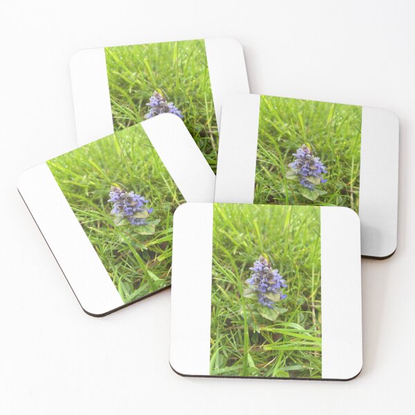 Item preview, wildflower designed and sold by AlpacaSparkles.