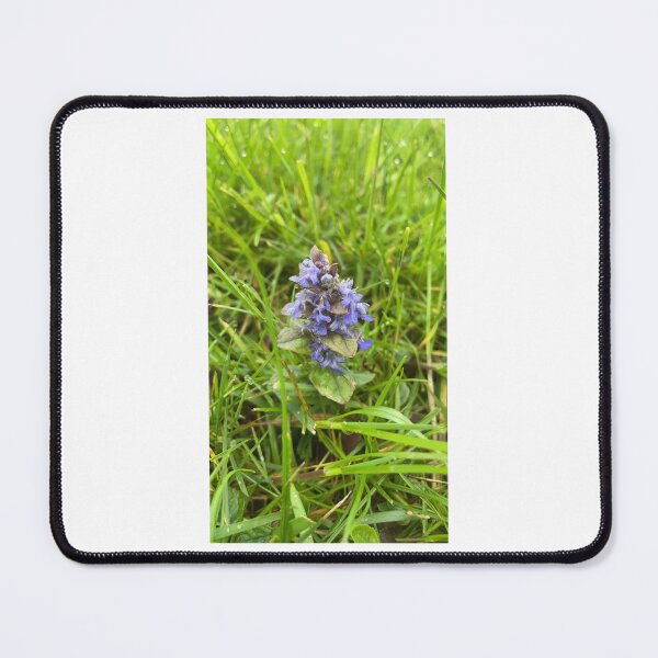 Item preview, wildflower designed and sold by AlpacaSparkles.