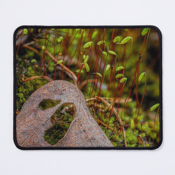Item preview, New and old 2 designed and sold by Veikko Suikkanen.