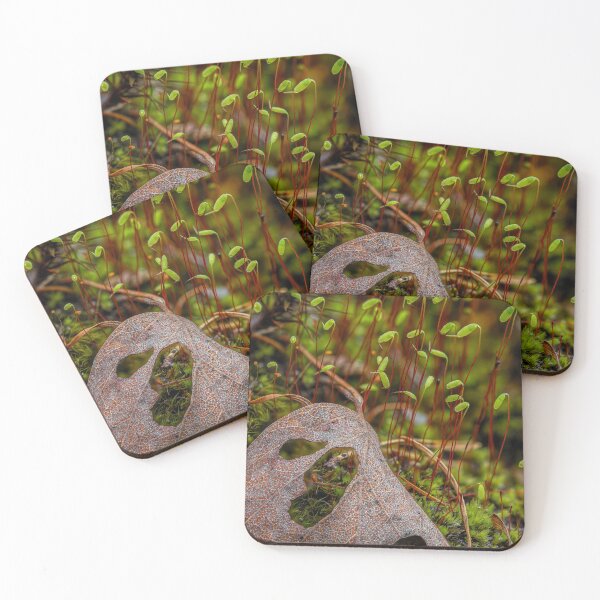 Item preview, New and old 2 designed and sold by Veikko  Suikkanen.