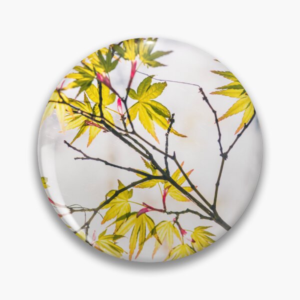 Item preview, Autumn maple leaves #2 designed and sold by tank200bar.
