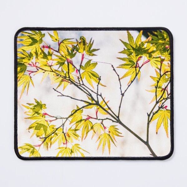 Item preview, Autumn maple leaves #2 designed and sold by tank200bar.