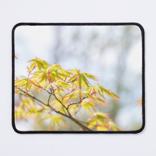 Item preview, Autumn maple leaves #3 designed and sold by tank200bar.