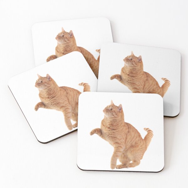 Item preview, Cute Cat designed and sold by PRT INDIA.