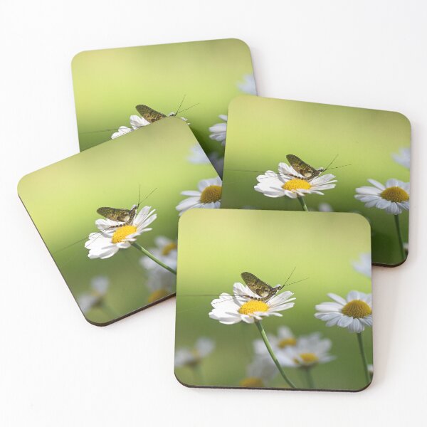Item preview, mayfly designed and sold by Claudia-Evans.