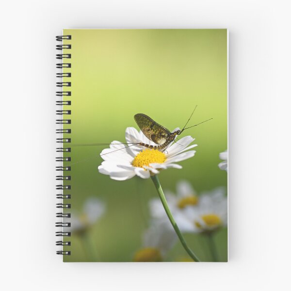 Item preview, mayfly designed and sold by Claudia-Evans.