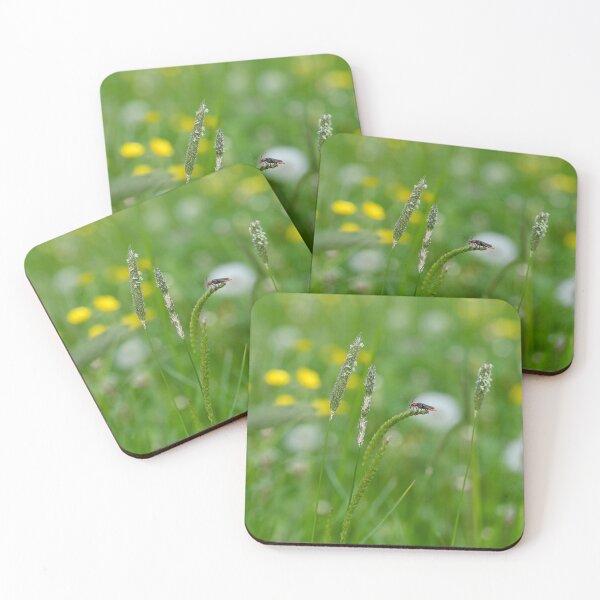 Item preview, A beetle in the meadow designed and sold by Claudia-Evans.