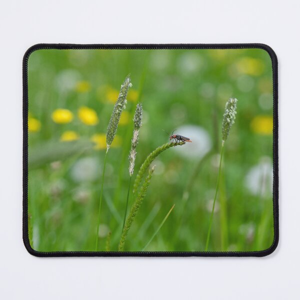 Item preview, A beetle in the meadow designed and sold by Claudia-Evans.