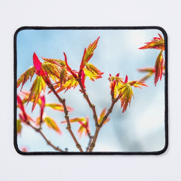 Item preview, Autumn maple leaves #4 designed and sold by tank200bar.