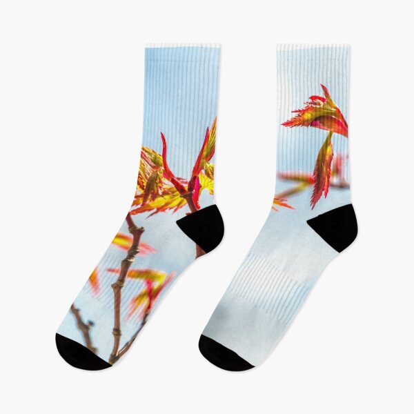 Item preview, Autumn maple leaves #4 designed and sold by tank200bar.
