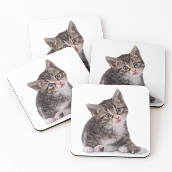 Item preview, Surprised Kitten designed and sold by PRT INDIA.