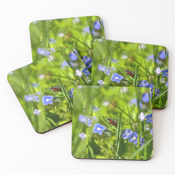 Item preview, A red cicada in a meadow designed and sold by Claudia-Evans.