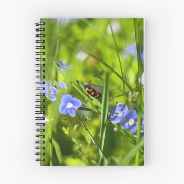 Item preview, A red cicada in a meadow designed and sold by Claudia-Evans.