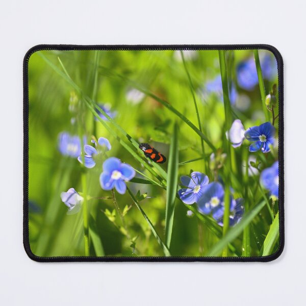 Item preview, A red cicada in a meadow designed and sold by Claudia-Evans.