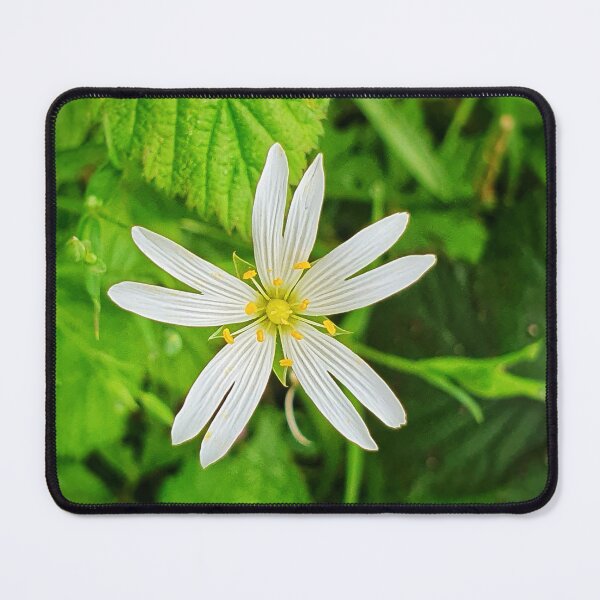 Artikelvorschau, Stellaria - Gemeine Sternmiere entworfen und verkauft von Tinyevilpixie1.