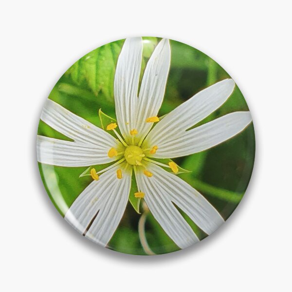 Item preview, Stellaria - Stitchwort común designed and sold by Tinyevilpixie1.