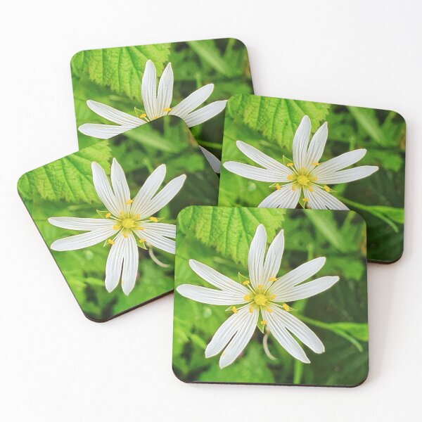 Artikelvorschau, Stellaria - Gemeine Sternmiere entworfen und verkauft von Tinyevilpixie1.