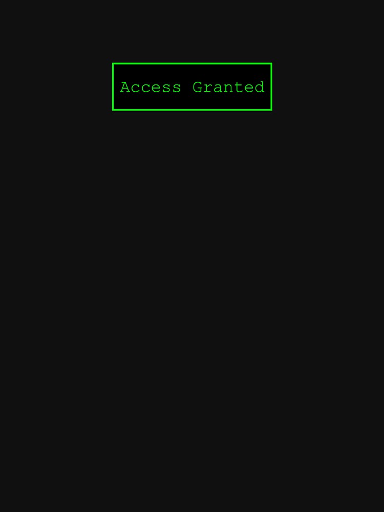 access granted hacker typer