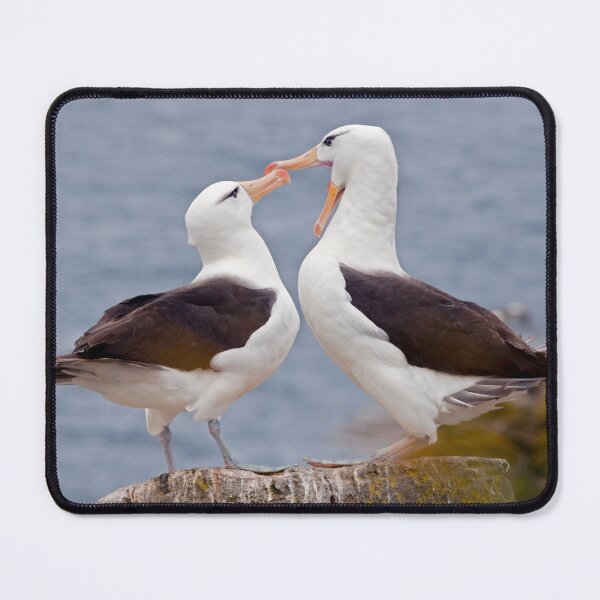 Item preview, Say "Ahhh" ... designed and sold by Krys Bailey.