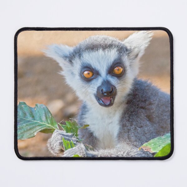 Item preview, Share my Lunch? You're having a larff... designed and sold by Krys Bailey.