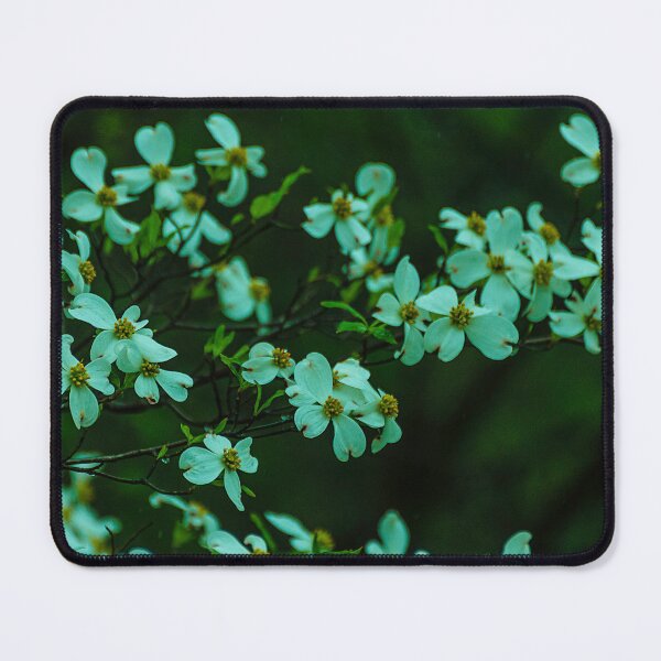 Item preview, Dogwoods In April designed and sold by James Hoffman.
