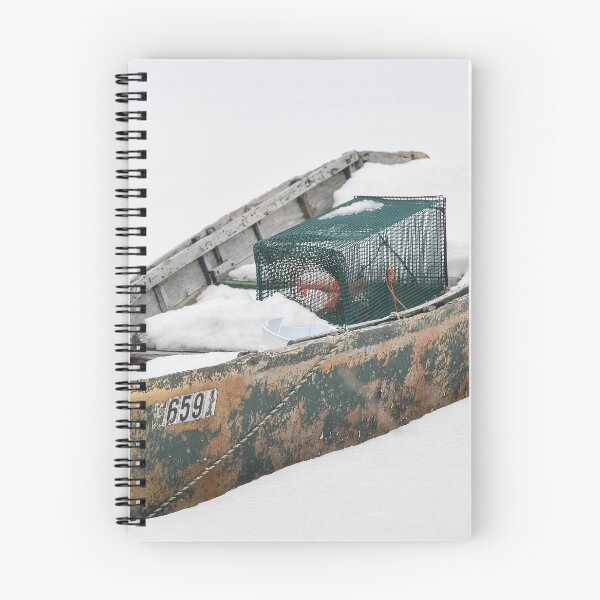 Item preview, Inactive Skiff designed and sold by RightEye.