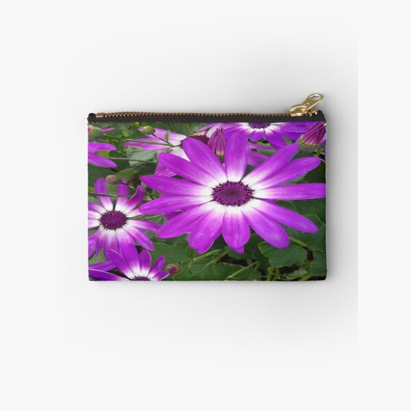 Item preview, Purple Cineraria Flowers designed and sold by JANDR-Designs.