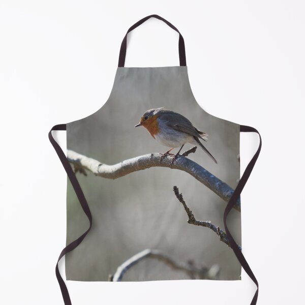 Item preview, Cool day going. European robin designed and sold by Jouko Lehto Photography.