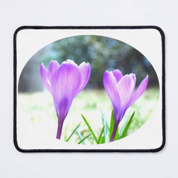 Item preview, Crocus Pair in the Sun designed and sold by Louise-Mae.