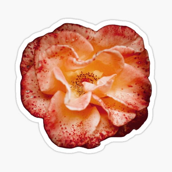 Item preview, Rose & Flower Art designed and sold by HOPIX SHOP.