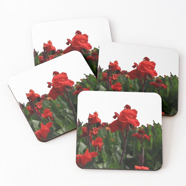 Item preview, Canna Lily garden designed and sold by VeenaNair23.