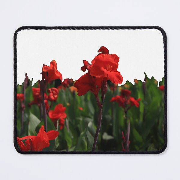 Item preview, Canna Lily garden designed and sold by VeenaNair23.