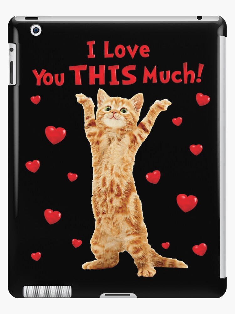 i love you this much cat