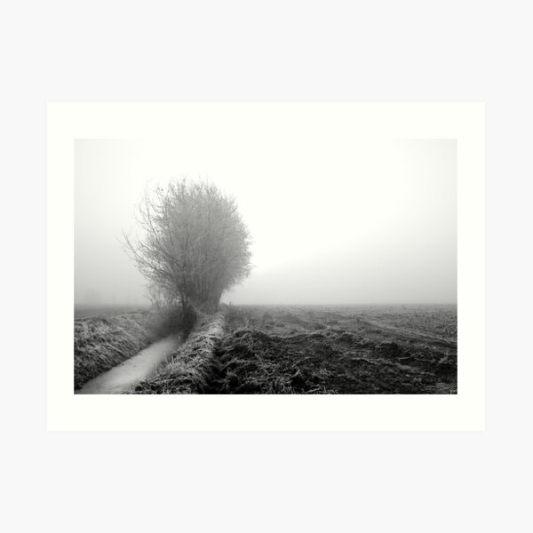 Misty ditch Art Print