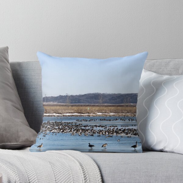 Item preview, Spring Migration designed and sold by dalemark.