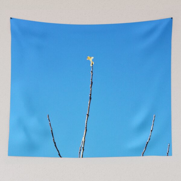 Item preview, I'm Not Ready Yet designed and sold by Scott and Mary Schneider art_photography.