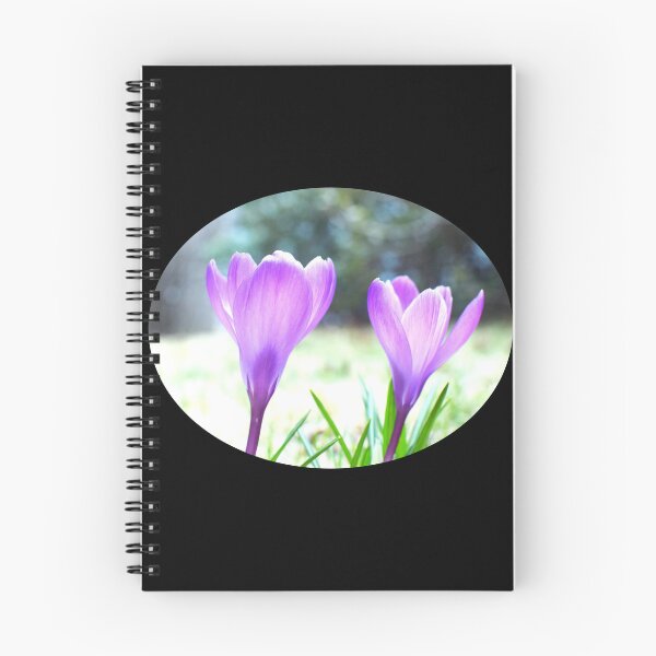 Item preview, Crocus Pair in the Sun - black background designed and sold by Louise-Mae.