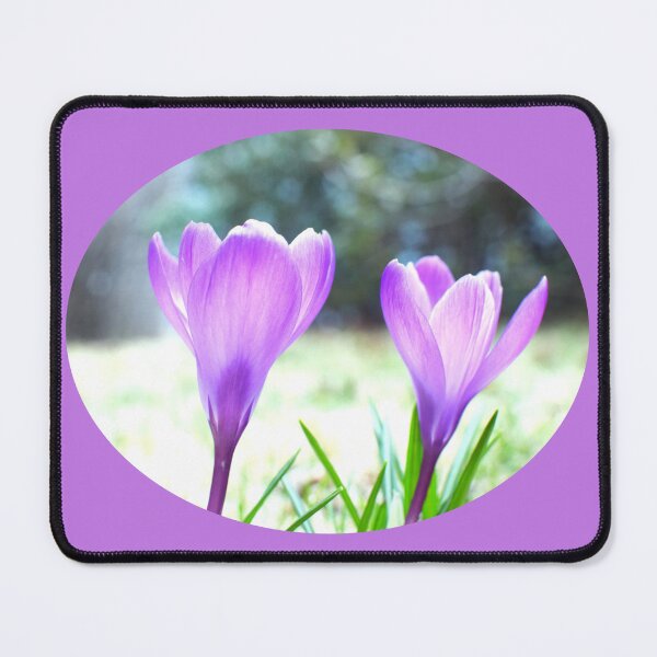 Item preview, Crocus Pair in the Sun - purple background designed and sold by Louise-Mae.