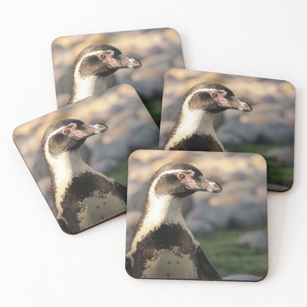 Item preview, Humboldt penguin nature lovers exploris  designed and sold by eddiebarronshop.