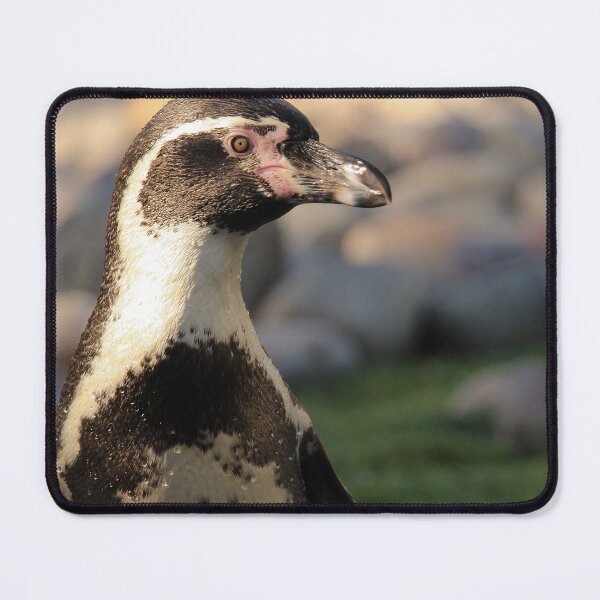 Item preview, Humboldt penguin nature lovers exploris  designed and sold by eddiebarronshop.