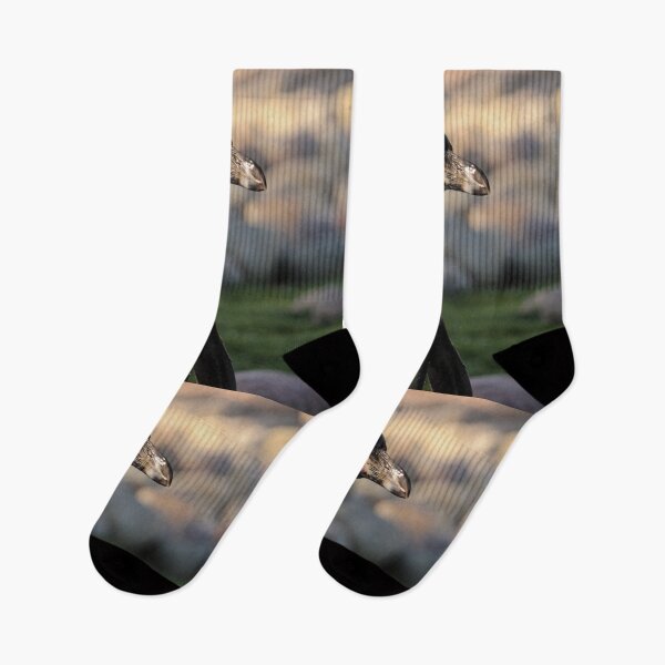 Item preview, Humboldt penguin nature lovers exploris  designed and sold by eddiebarronshop.