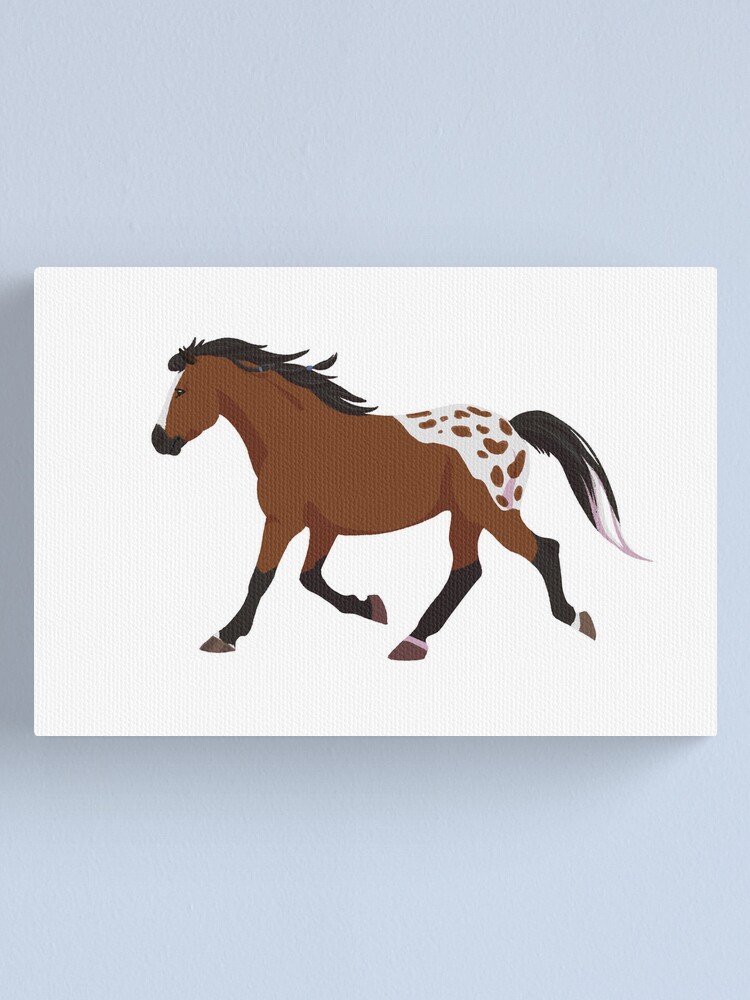 The Appaloosa horse - Royal Horse