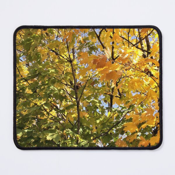 Item preview, Leaves Starting to Change designed and sold by Scott and Mary Schneider art_photography.